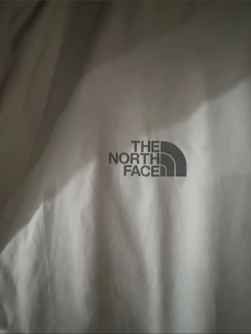 The North Face Light Gray Men's Lightweight Zip Jacket
